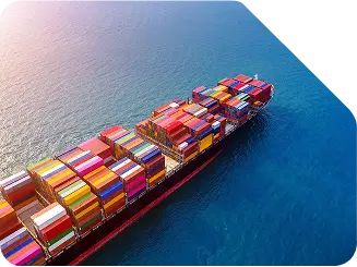 Global Sea Freight Shipping